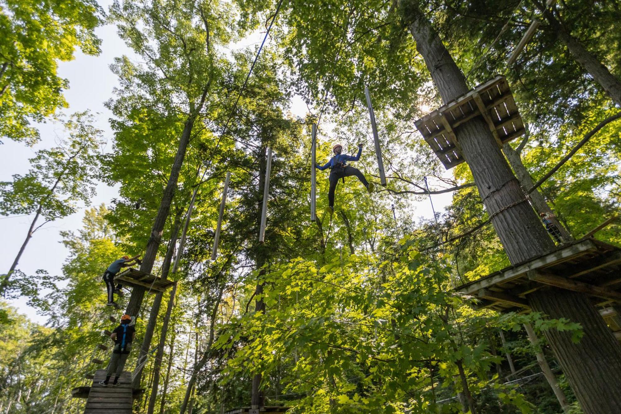 Blue Mountain Resort Inn Blue Mountains Ngoại thất bức ảnh